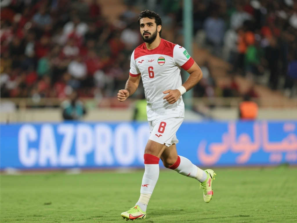 已成为许多 已成为许多